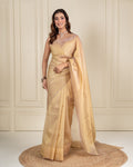 Chikoo Organza Saree with Handcrafted Crystal Beads Lace & Golden Buti Blouse Piece